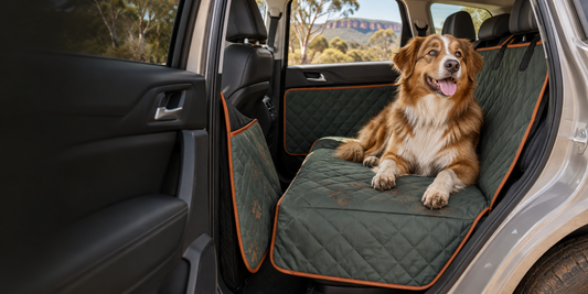 How to Keep Your Car Clean When Travelling With a Dog