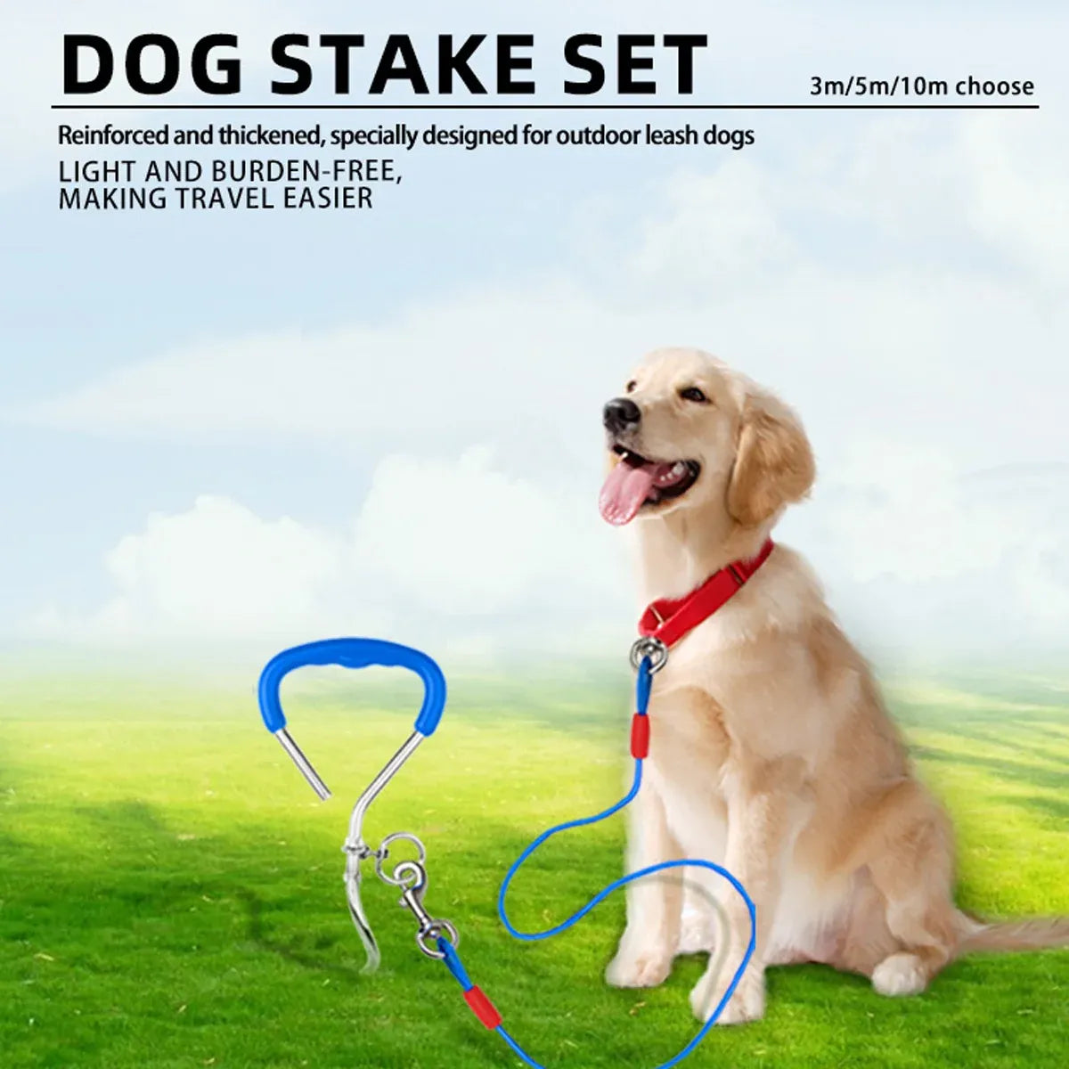 10m Dog Tie-Out Stake & Cable – Small to Medium Dogs