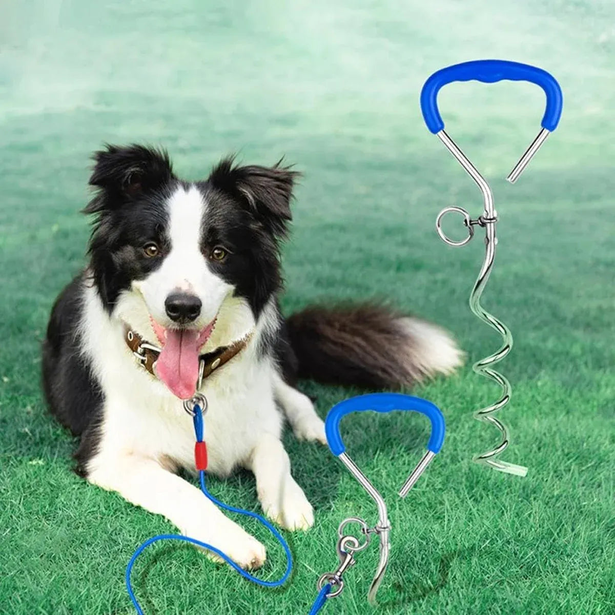 10m Dog Tie-Out Stake & Cable – Small to Medium Dogs