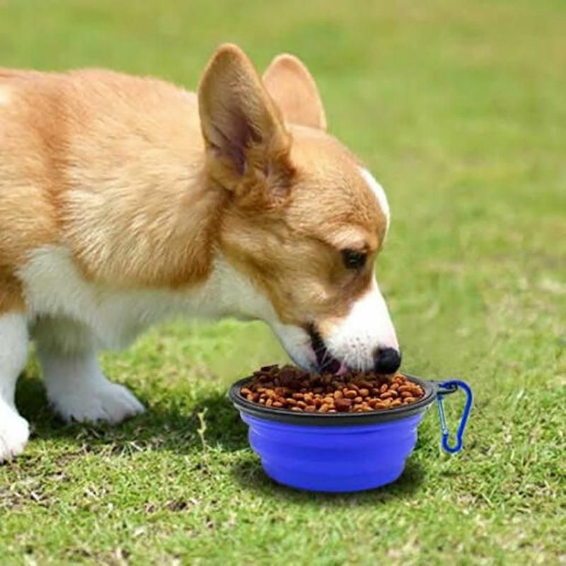 Collapsible Silicone Pet Bowl for Cat Dog Portable Food and Water Feeder - Orange
