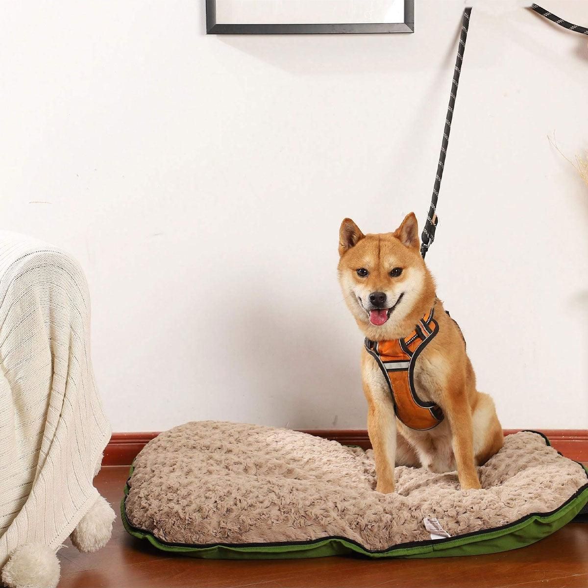 Blue Portable Dog Travel Mat – Foldable Design