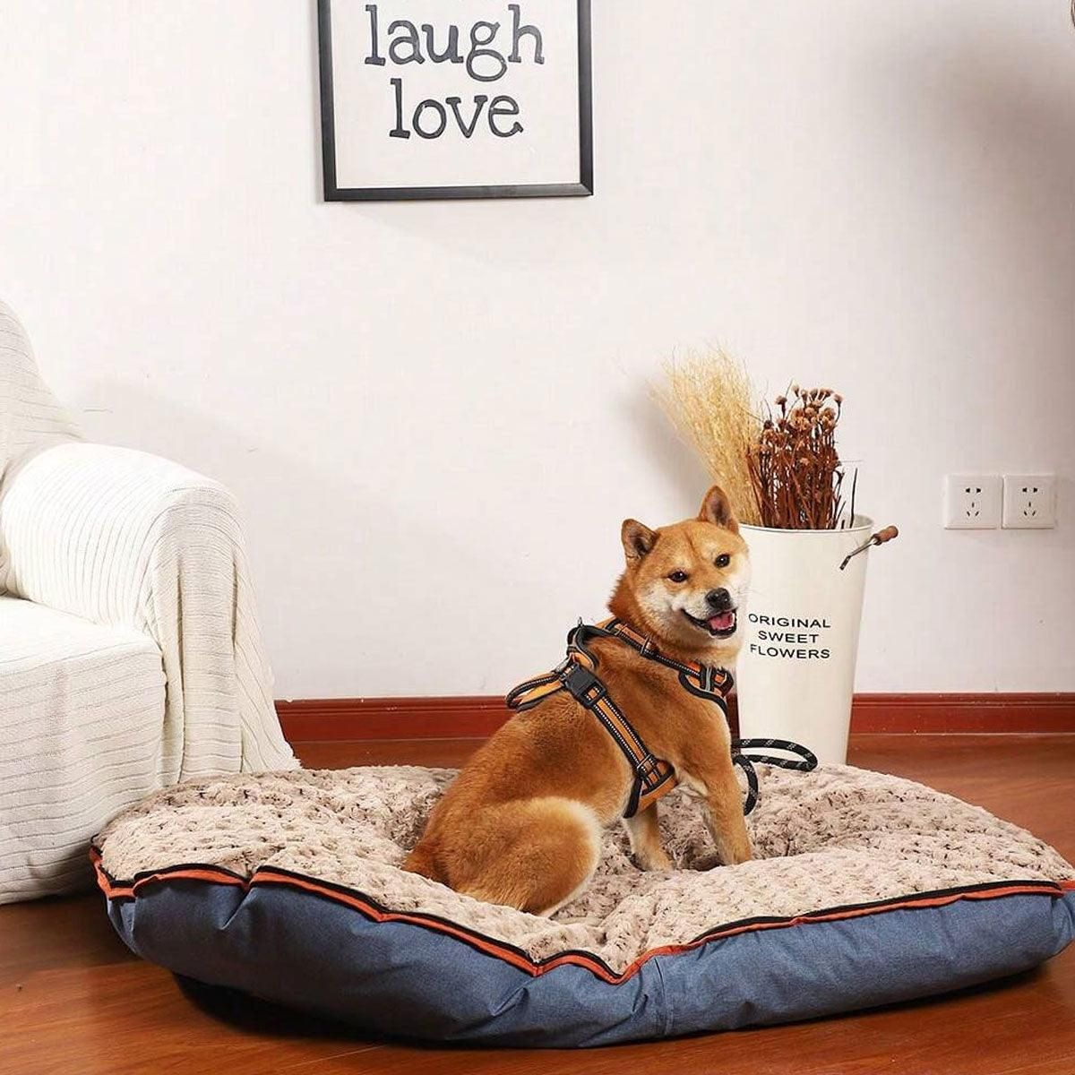 Blue Portable Dog Travel Mat – Foldable Design