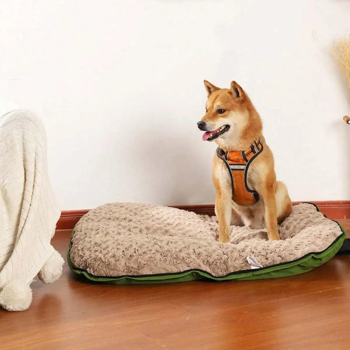 Portable Folding Dog Travel Mat – Blue & Orange